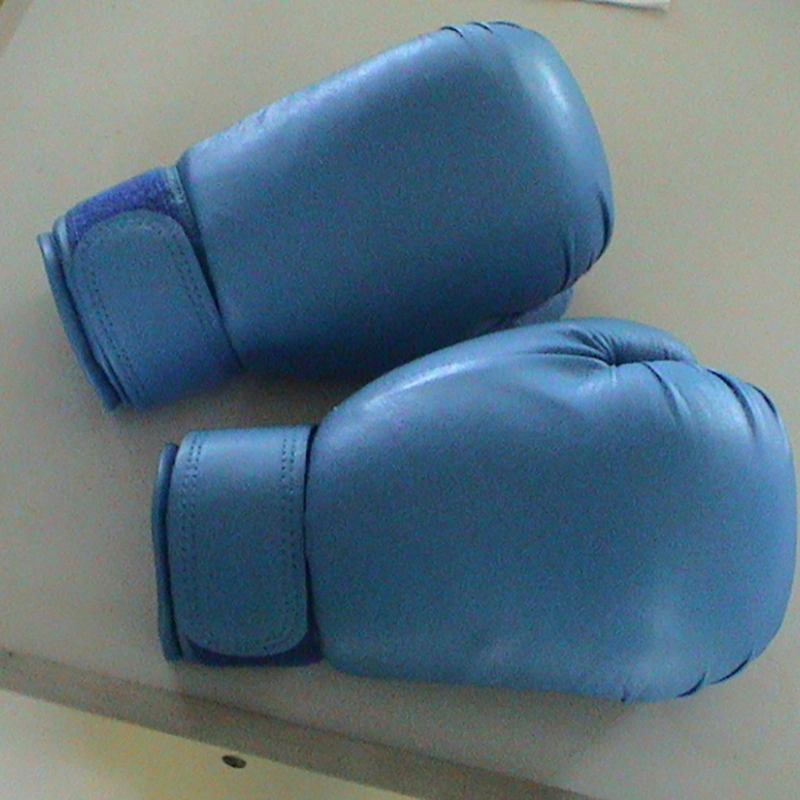 Cheap Price Factory Boxing Sanda Gloves