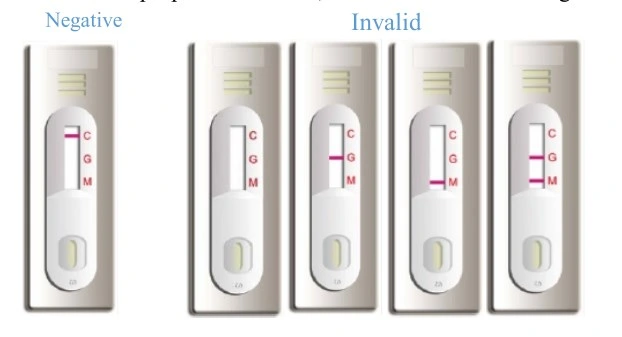 Rapid Card Test Typhoid Rapid Test Card Typhoid