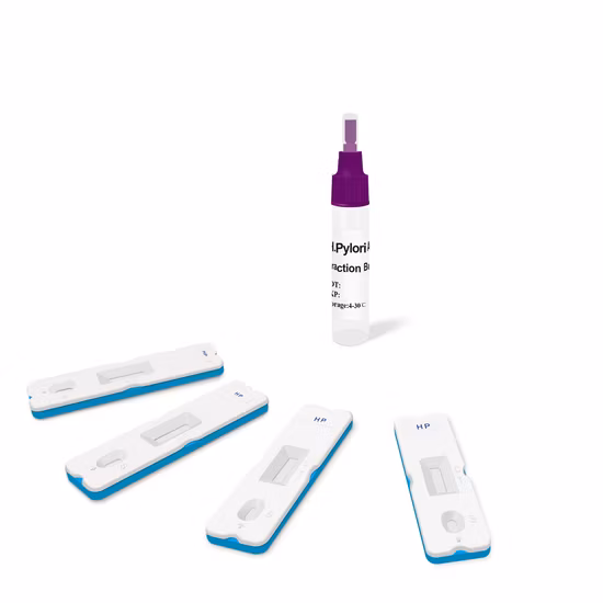 장티푸스 말라리아 뎅기열 HCV HBV Hbsag 매독 Tp H.Pylori Ab & AG HIV Toxo RV 클라미디아 임질 인플루엔자 Ab Fob Psa Urs Doa 콤보 Alc 항원 신속 테스트 키트